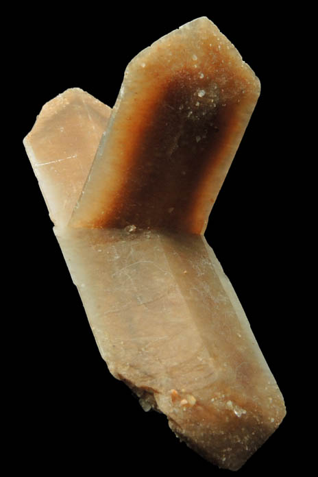 Gypsum var. Selenite with hour-glass shaped zoning from Great Salt Plains, near Jet, Alfalfa County, Oklahoma