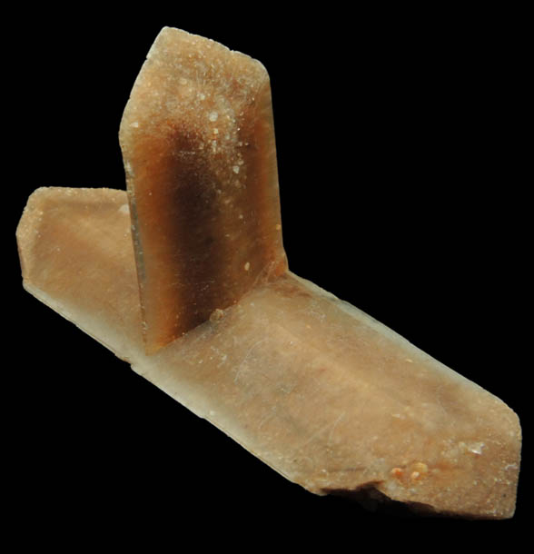 Gypsum var. Selenite with hour-glass shaped zoning from Great Salt Plains, near Jet, Alfalfa County, Oklahoma