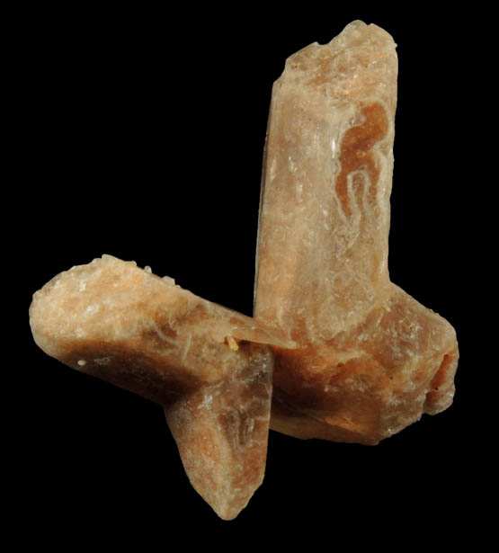 Gypsum var. Selenite with hour-glass shaped zoning from Great Salt Plains, near Jet, Alfalfa County, Oklahoma