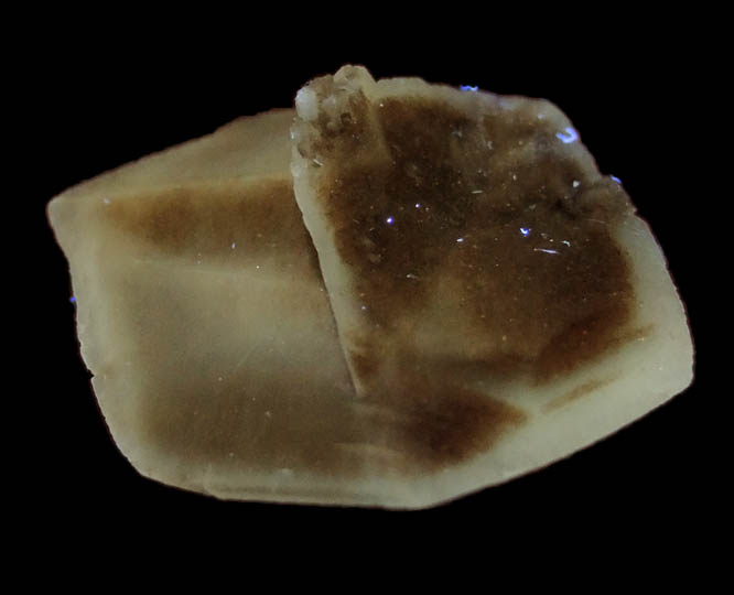 Gypsum var. Selenite with internal zoning from Great Salt Plains, near Jet, Alfalfa County, Oklahoma