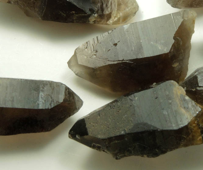 Quartz var. Smoky Quartz (7 crystals) from Lake George District, Park County, Colorado