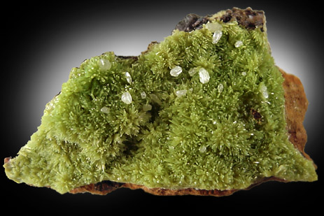 Cerussite on Pyromorphite from Russell Tunnel, Burke, Idaho