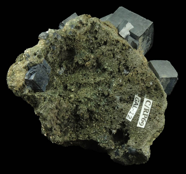 Galena on Chalcopyrite from (Sweetwater Mine), Viburnum Trend, Reynolds County, Missouri