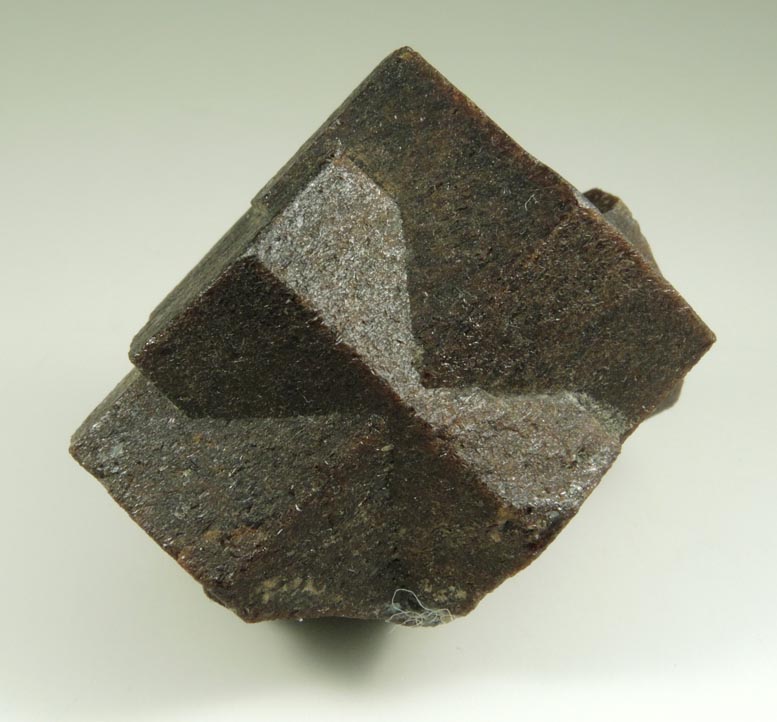 Staurolite (cross-twinned) from Pond Hill, near Pearl Lake, Lisbon, Grafton County, New Hampshire