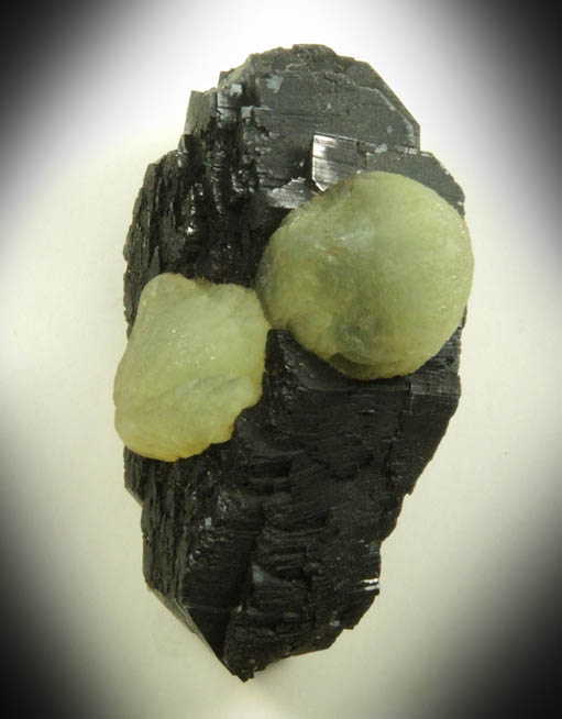 Prehnite on Babingtonite from Lane's Quarry, Westfield, Hampden County, Massachusetts