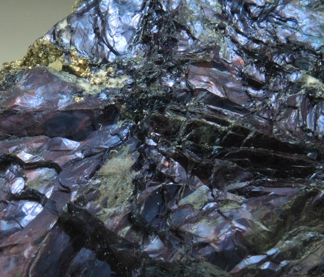 Covellite from Butte District, Summit Valley, Silver Bow County, Montana