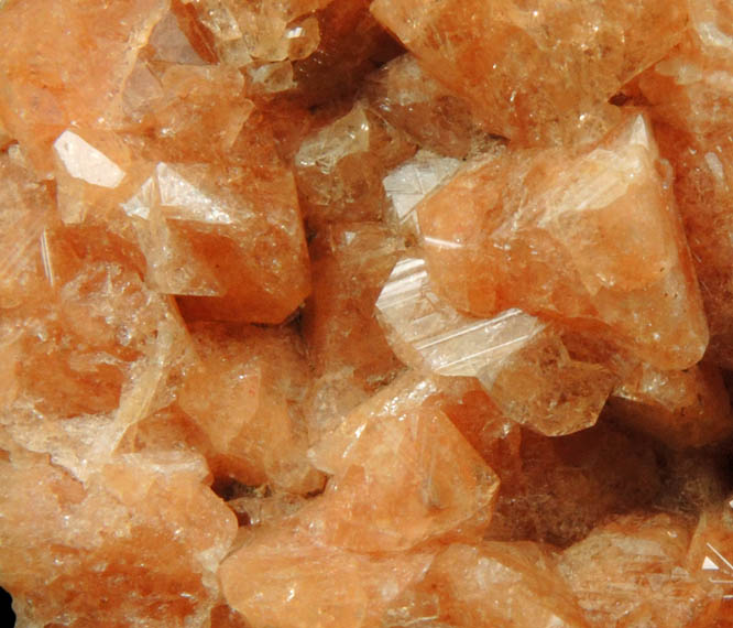 Gmelinite pseudomorphs after Chabazite from Pinnacle Rock, Five Islands, Nova Scotia, Canada