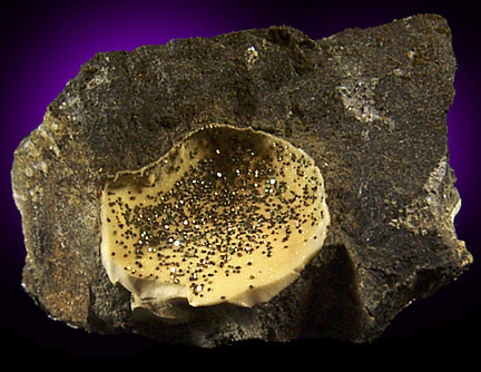 Pyrite from Clackamas River, Estacada, Oregon