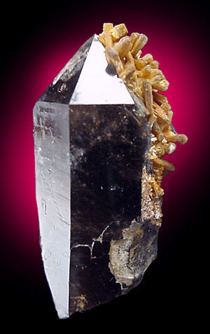 Siderite on Smoky Quartz from Sabatina, Czech Republic