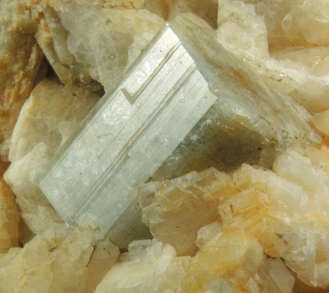 Fluorapatite in Albite with Muscovite from Hayes Ledge, Noyes Mountain, Greenwood, Oxford County, Maine