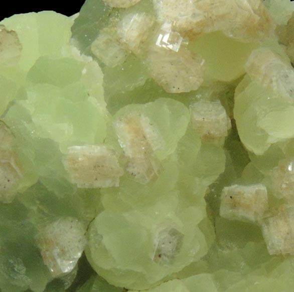 Heulandite on Prehnite from Upper New Street Quarry, Paterson, Passaic County, New Jersey