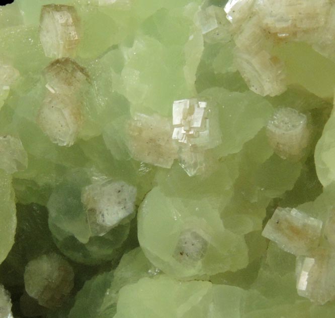 Heulandite on Prehnite from Upper New Street Quarry, Paterson, Passaic County, New Jersey