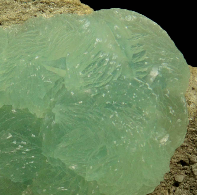 Prehnite from Upper New Street Quarry, Paterson, Passaic County, New Jersey