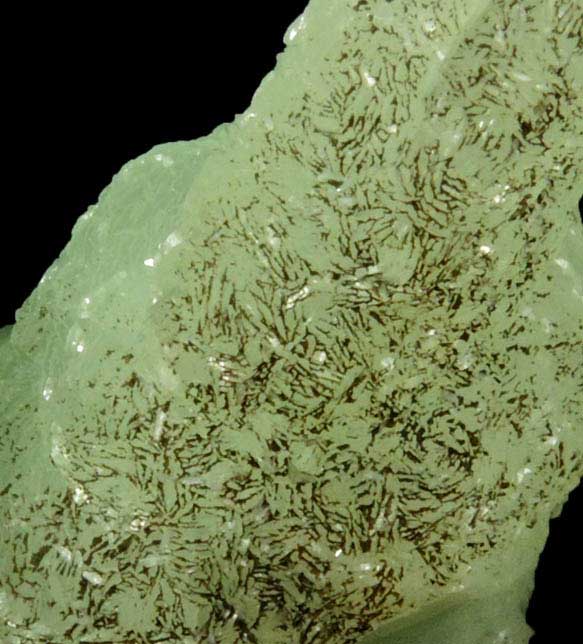 Prehnite pseudomorphs after Anhydrite from Upper New Street Quarry, Paterson, Passaic County, New Jersey