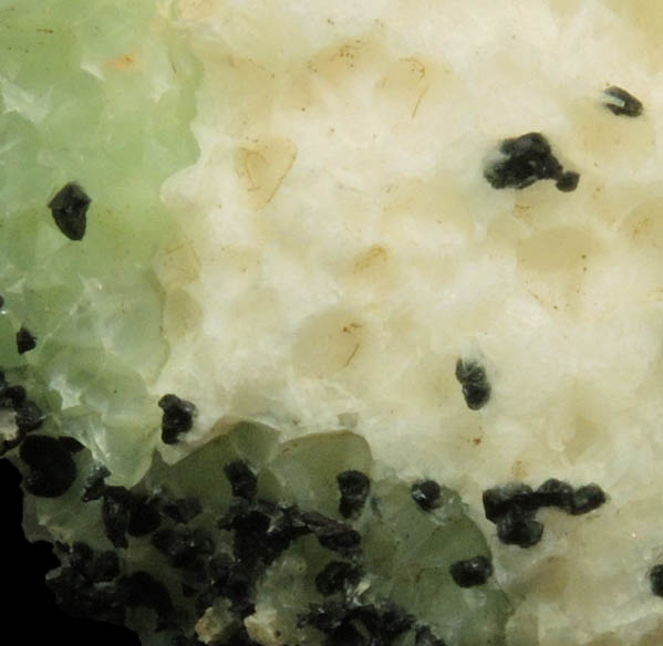 Analcime on Prehnite with Chlorite from Upper New Street Quarry, Paterson, Passaic County, New Jersey