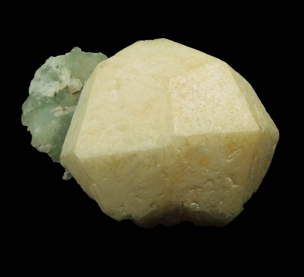 Analcime on Prehnite with Chlorite from Upper New Street Quarry, Paterson, Passaic County, New Jersey