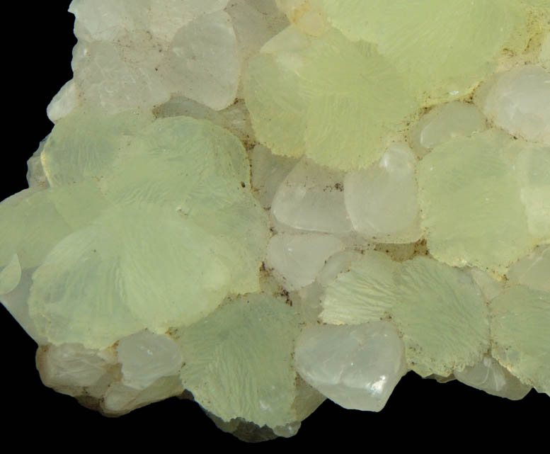 Prehnite on Calcite from Upper New Street Quarry, Paterson, Passaic County, New Jersey