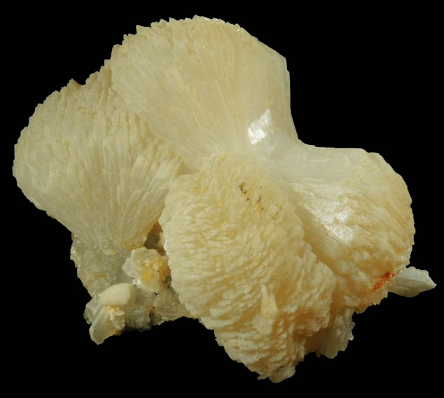 Stilbite from Upper New Street Quarry, Paterson, Passaic County, New Jersey