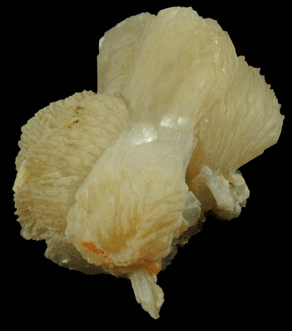 Stilbite from Upper New Street Quarry, Paterson, Passaic County, New Jersey