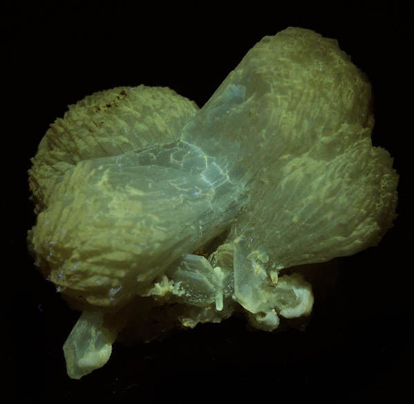 Photo below under longwave ultraviolet illumination of Stilbite from Upper New Street Quarry, Paterson, Passaic County, New Jersey Stilbite from Upper New Street Quarry, Paterson, Passaic County, New Jersey
