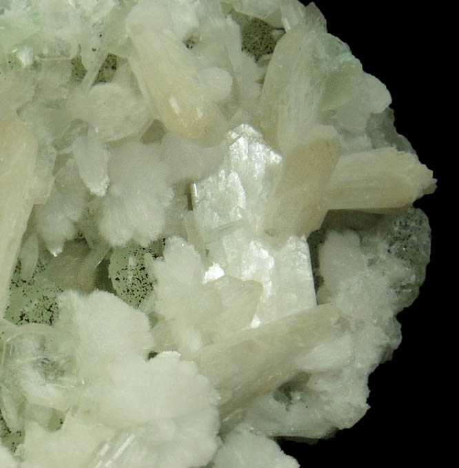 Stilbite on Prehnite from Upper New Street Quarry, Paterson, Passaic County, New Jersey