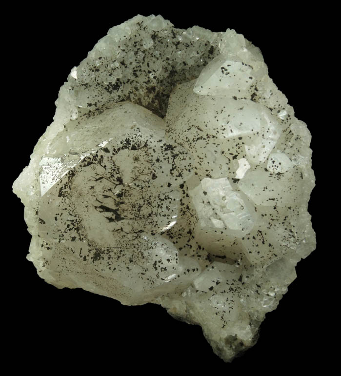 Apophyllite with Petroleum (naturally occurring Hydrocarbons) from Millington Quarry, Bernards Township, Somerset County, New Jersey