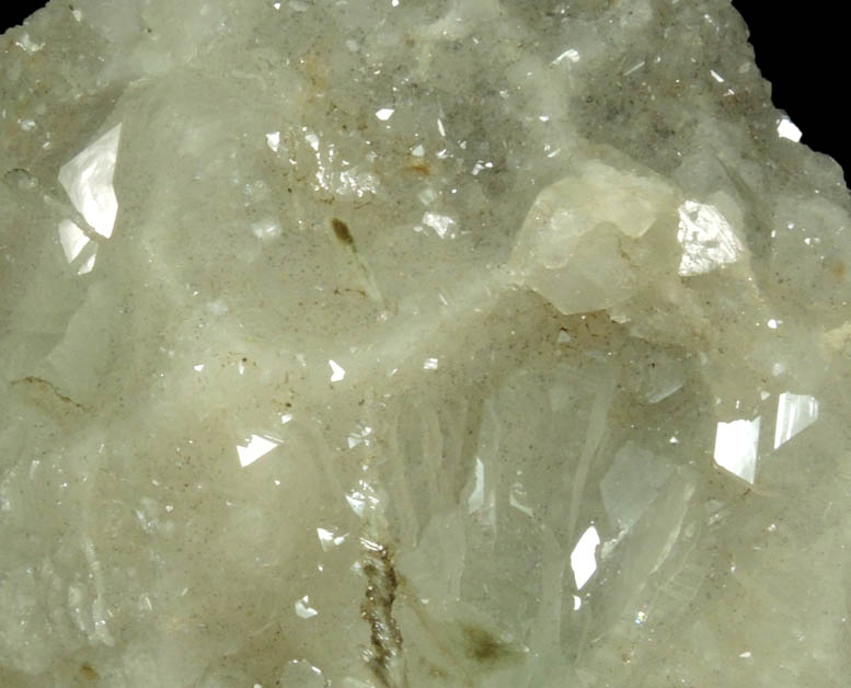 Apophyllite with Petroleum (naturally occurring Hydrocarbons) from Millington Quarry, Bernards Township, Somerset County, New Jersey