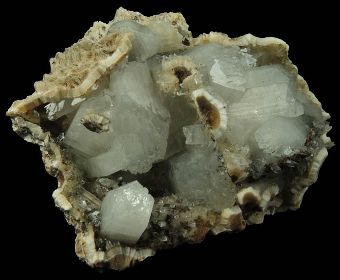 Apophyllite on Pectolite from Millington Quarry, Bernards Township, Somerset County, New Jersey