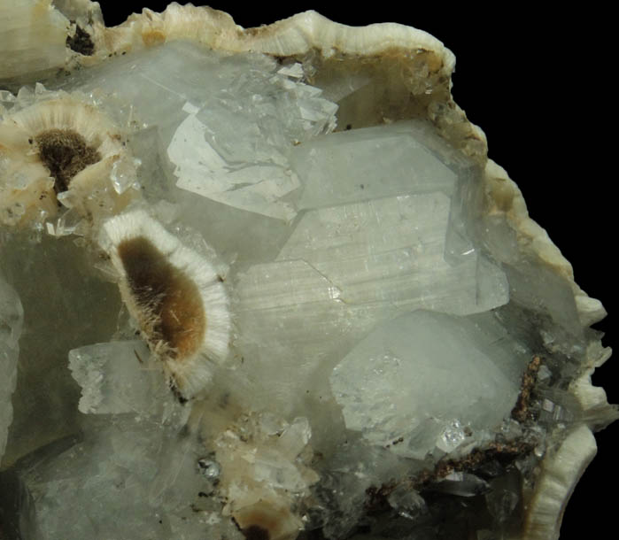 Apophyllite on Pectolite from Millington Quarry, Bernards Township, Somerset County, New Jersey