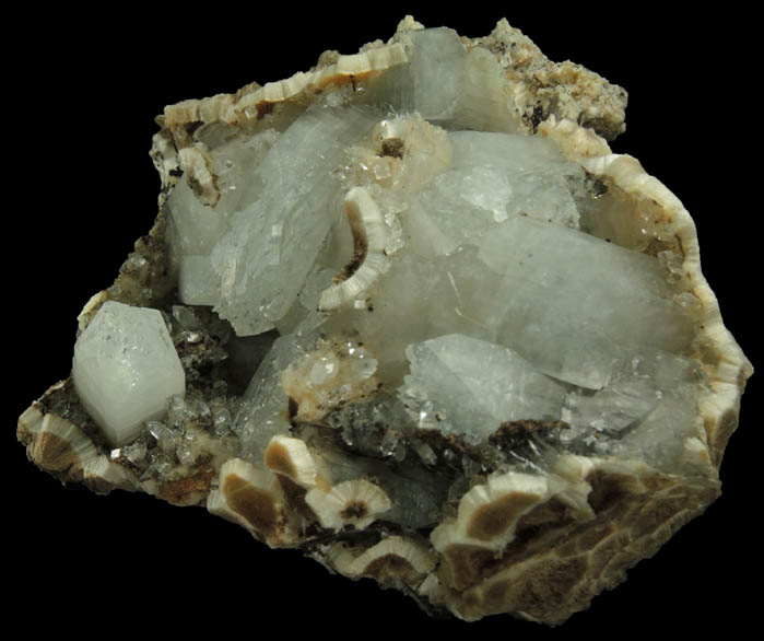 Apophyllite on Pectolite from Millington Quarry, Bernards Township, Somerset County, New Jersey