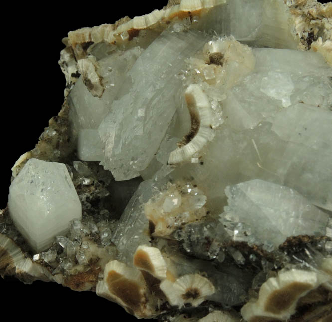 Apophyllite on Pectolite from Millington Quarry, Bernards Township, Somerset County, New Jersey