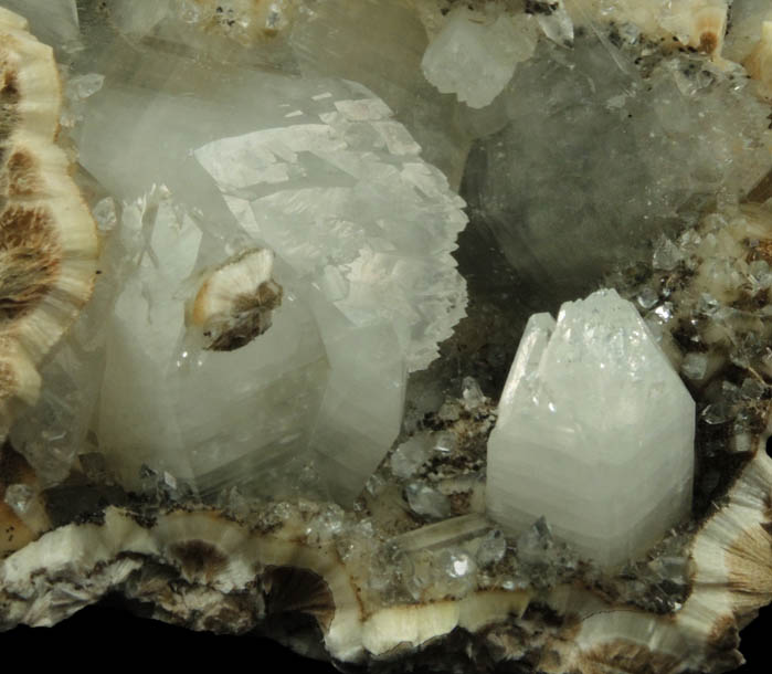 Apophyllite on Pectolite from Millington Quarry, Bernards Township, Somerset County, New Jersey