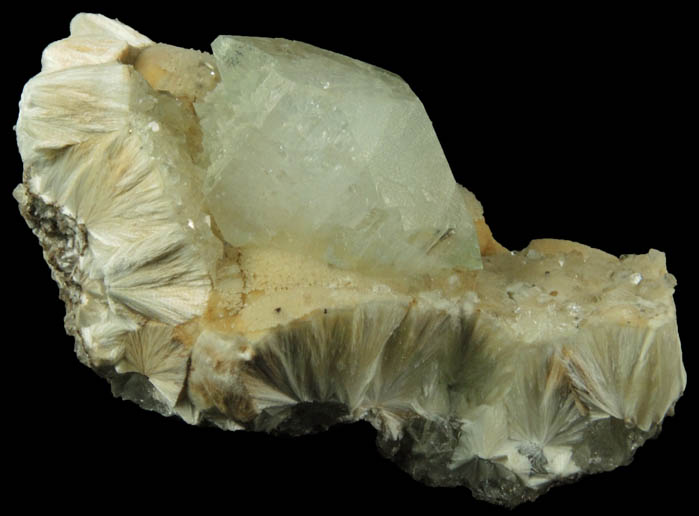 Apophyllite on Pectolite from Millington Quarry, Bernards Township, Somerset County, New Jersey