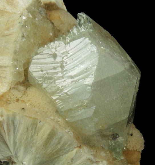 Apophyllite on Pectolite from Millington Quarry, Bernards Township, Somerset County, New Jersey