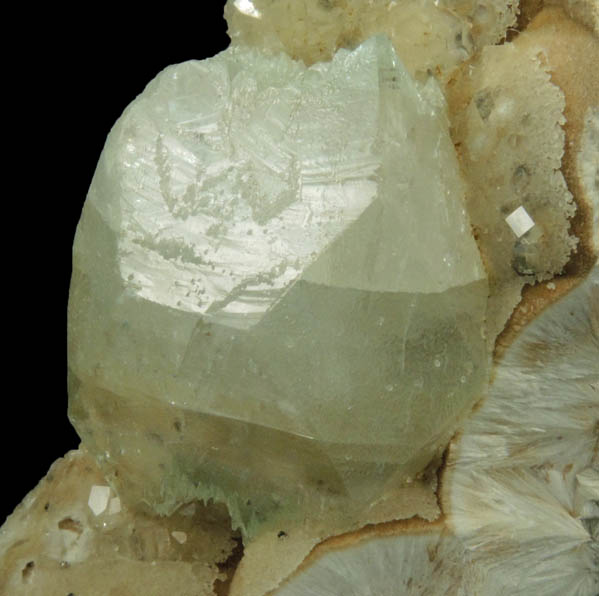 Apophyllite on Pectolite from Millington Quarry, Bernards Township, Somerset County, New Jersey