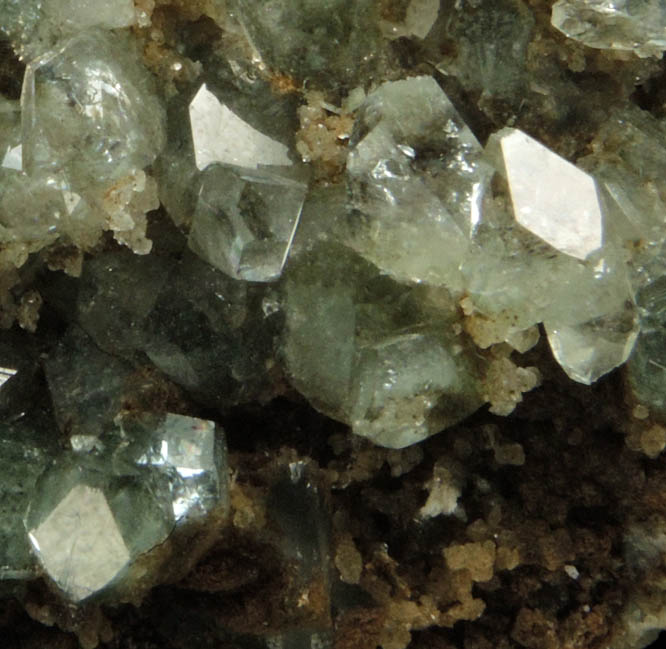 Apophyllite from Millington Quarry, Bernards Township, Somerset County, New Jersey