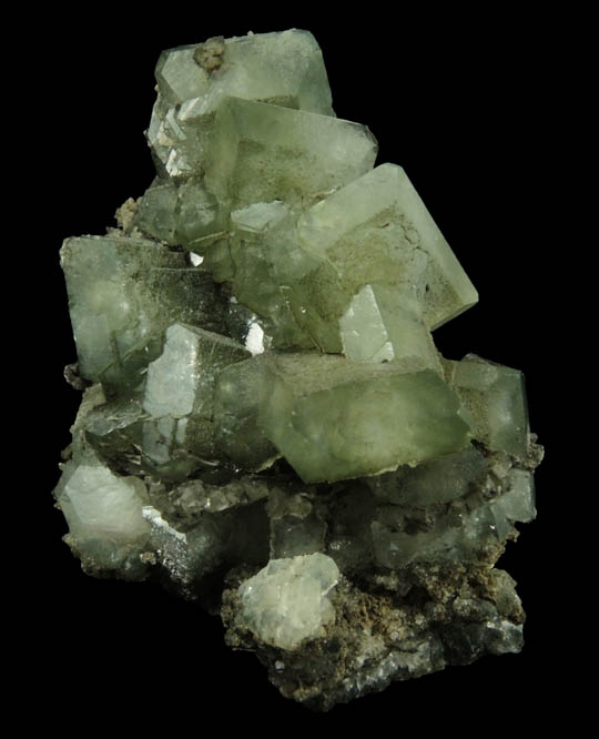 Apophyllite with Chlorite inclusions from Millington Quarry, Bernards Township, Somerset County, New Jersey