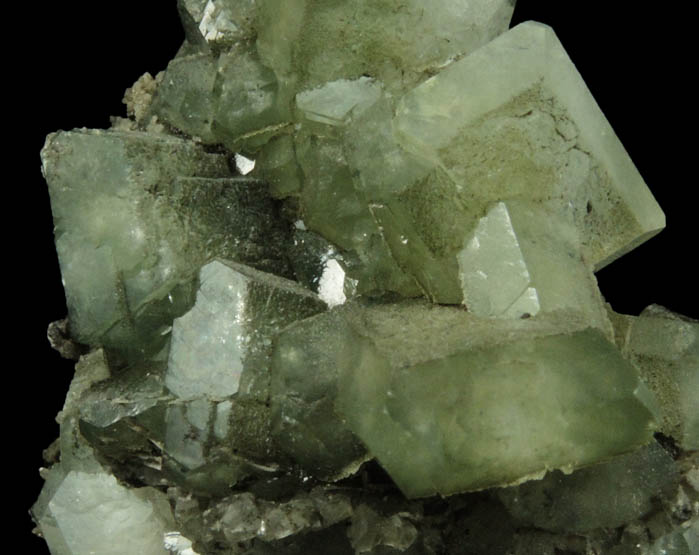 Apophyllite with Chlorite inclusions from Millington Quarry, Bernards Township, Somerset County, New Jersey