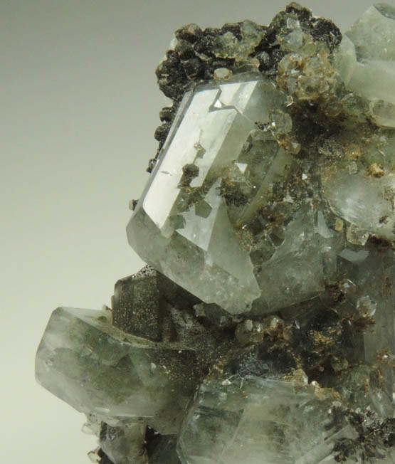 Apophyllite with Chlorite from Millington Quarry, Bernards Township, Somerset County, New Jersey