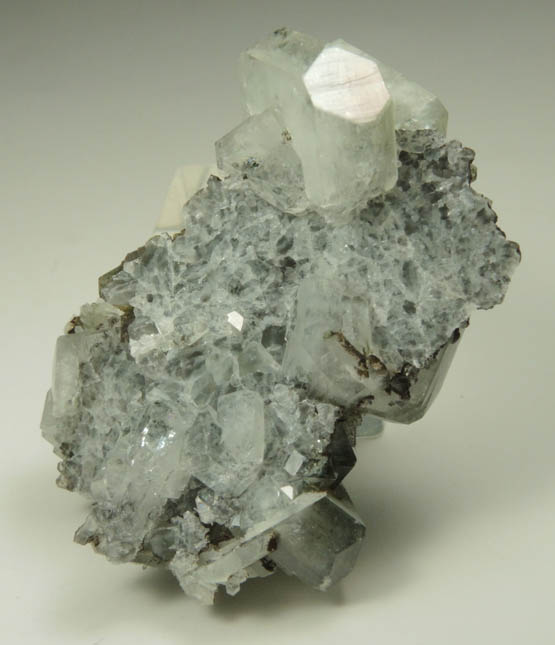 Apophyllite with Chlorite from Millington Quarry, Bernards Township, Somerset County, New Jersey