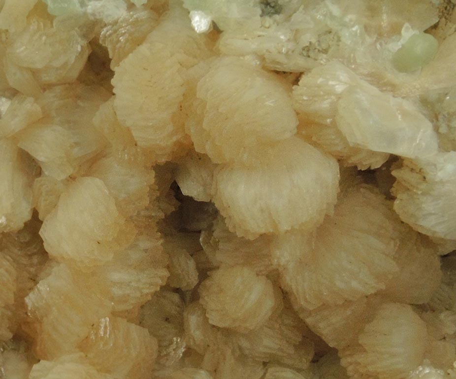 Stilbite with minor Prehnite and Calcite from Upper New Street Quarry, Paterson, Passaic County, New Jersey