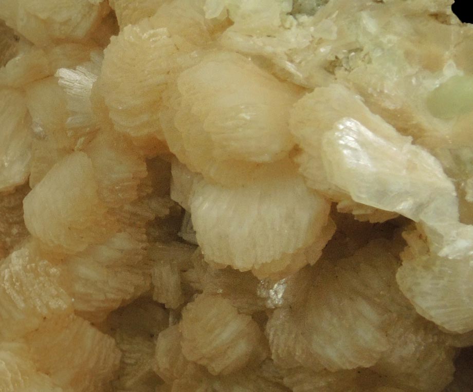 Stilbite with minor Prehnite and Calcite from Upper New Street Quarry, Paterson, Passaic County, New Jersey