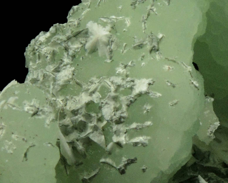 Prehnite pseudomorphs after Anhydrite with Babingtonite, Actinolite and Laumontite from Upper New Street Quarry, Paterson, Passaic County, New Jersey