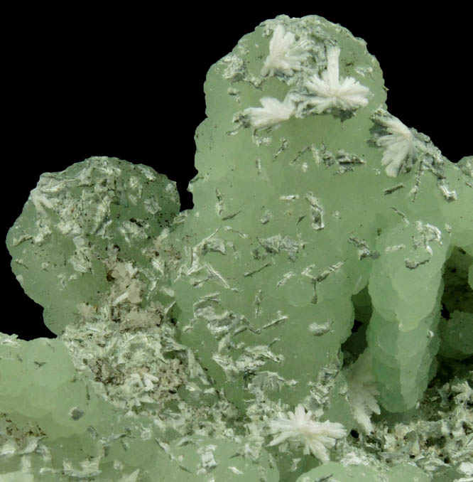 Prehnite pseudomorphs after Anhydrite with Babingtonite, Actinolite and Laumontite from Upper New Street Quarry, Paterson, Passaic County, New Jersey