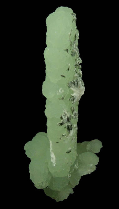 Prehnite pseudomorph after Anhydrite with Babingtonite, Actinolite and Laumontite from Upper New Street Quarry, Paterson, Passaic County, New Jersey