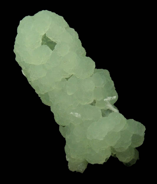 Prehnite pseudomorph after Anhydrite with Babingtonite, Actinolite and Laumontite from Upper New Street Quarry, Paterson, Passaic County, New Jersey