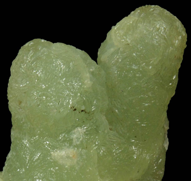 Prehnite pseudomorphs after Anhydrite from Upper New Street Quarry, Paterson, Passaic County, New Jersey