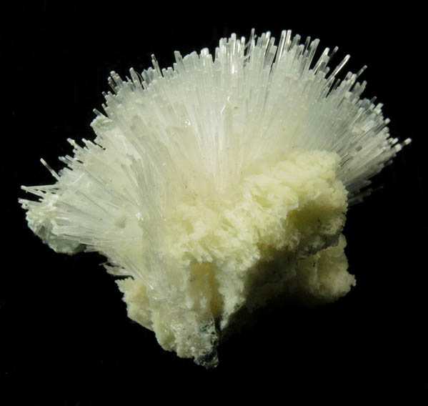 Natrolite from Upper New Street Quarry, Paterson, Passaic County, New Jersey