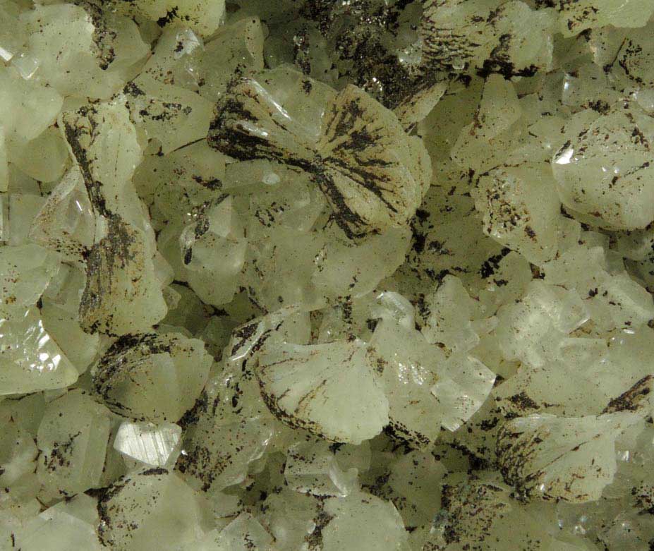 Prehnite, Datolite, Calcite, Petroleum (naturally occurring Hydrocarbons) from Millington Quarry, Bernards Township, Somerset County, New Jersey