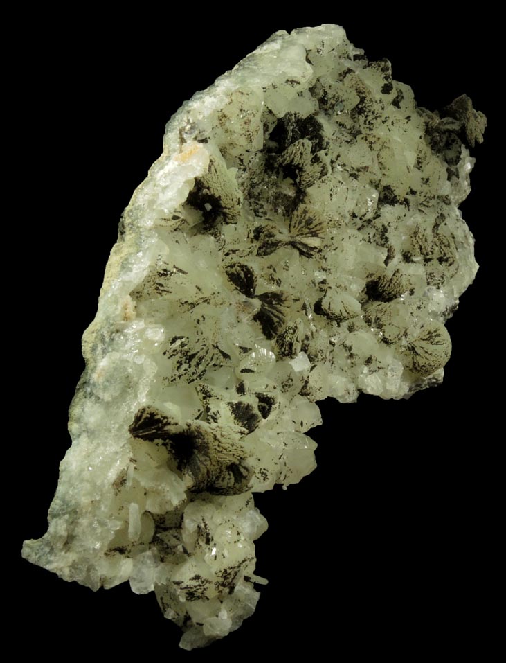 Prehnite, Datolite, Calcite, Petroleum (naturally occurring Hydrocarbons) from Millington Quarry, Bernards Township, Somerset County, New Jersey